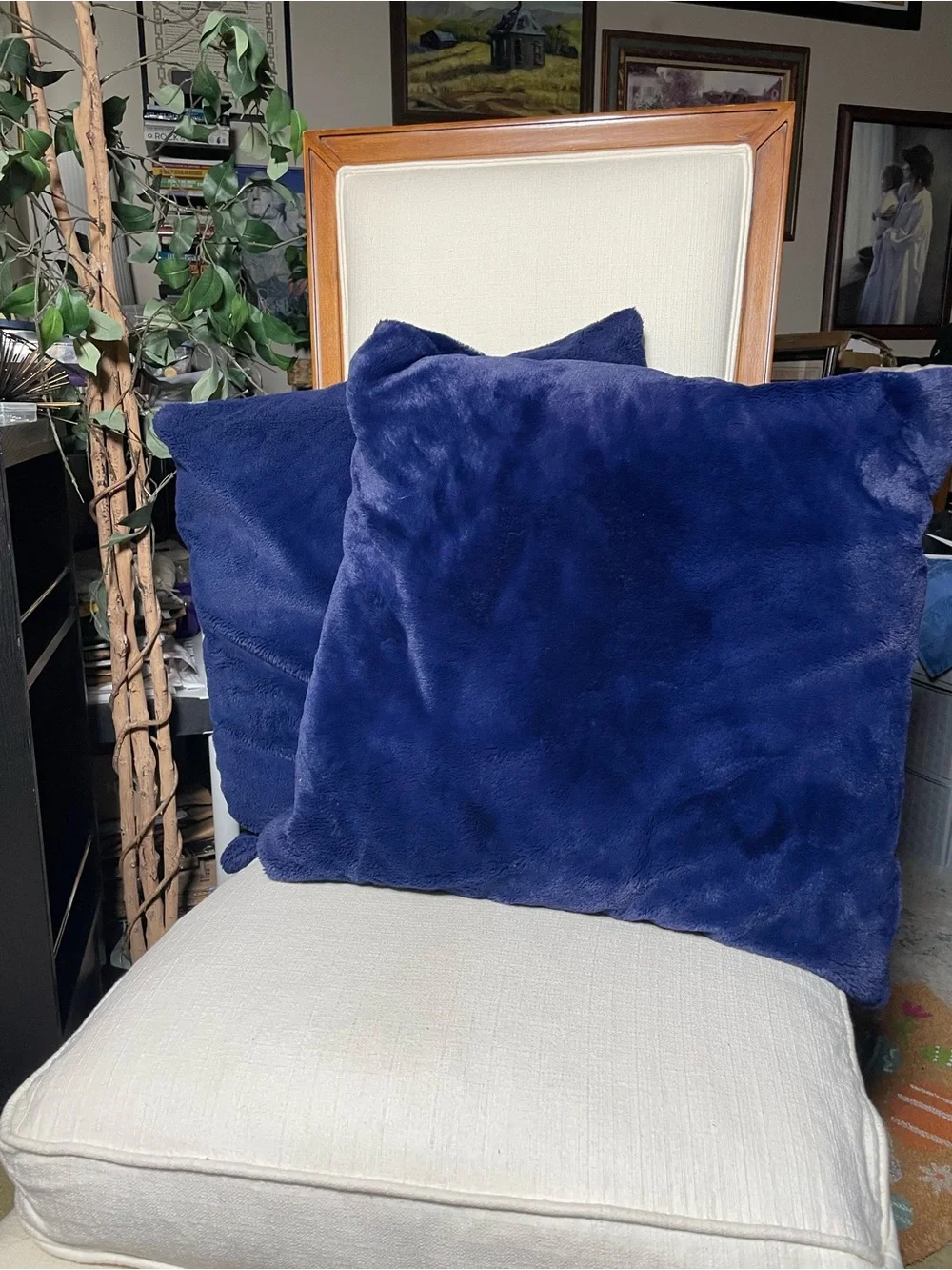 Royal Blue Velvety Soft 22” Throw Pillows - Set of 2